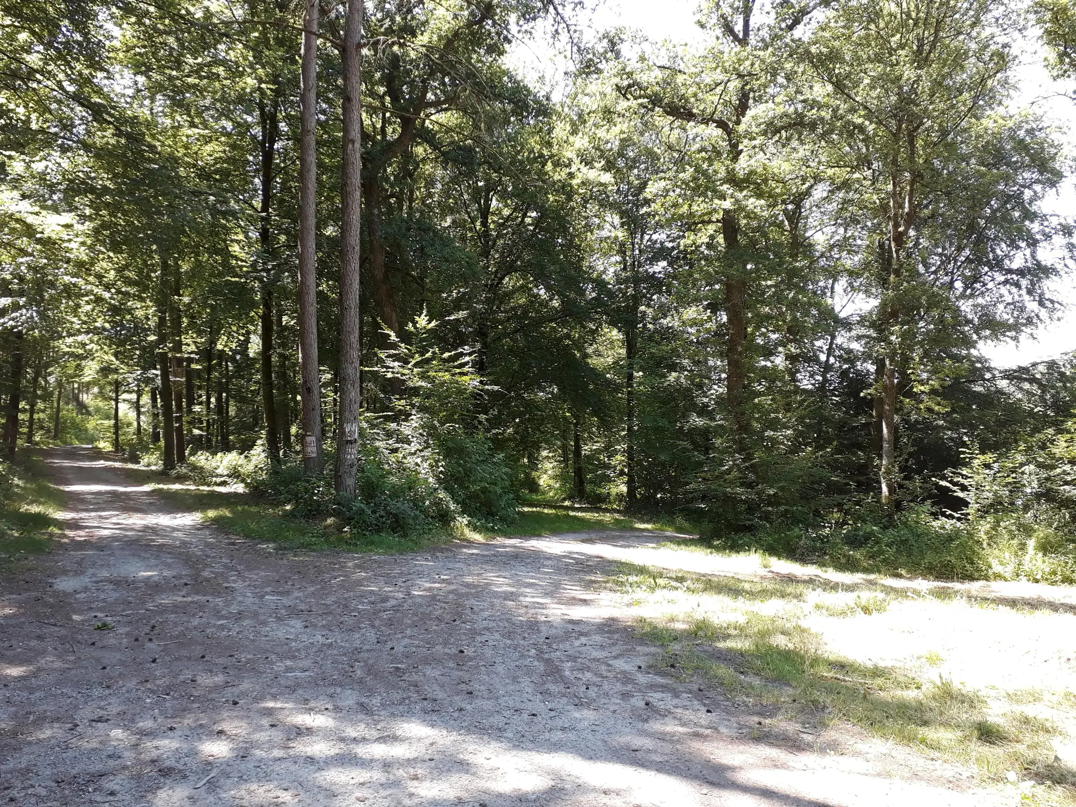 Cottage for 4 people in Chiny Chalet Écureuil